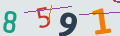 verifycode
